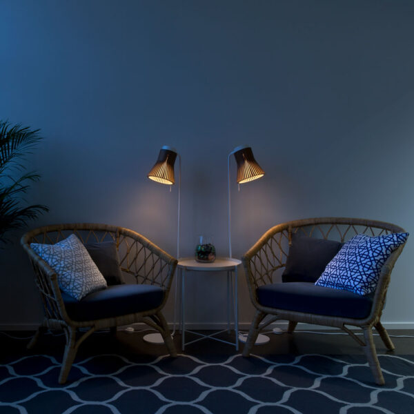 Secto Design Petite 4610 -lattiavalaisin