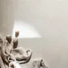 VM Carpet Aho-matto