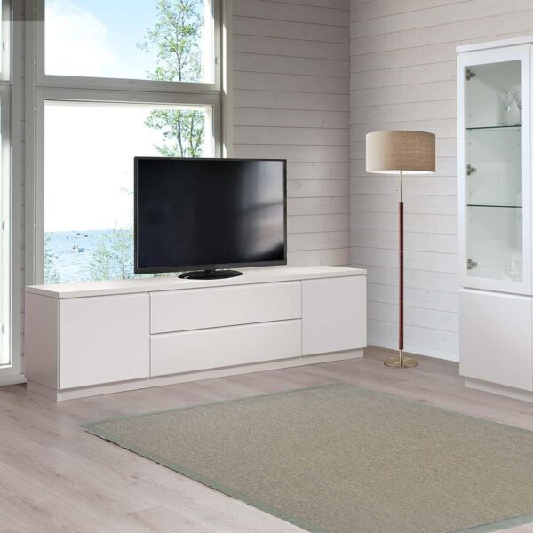 Leo-Matti Ojala Line-tv-taso L16