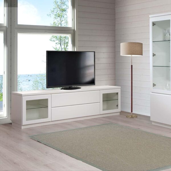 Leo-Matti Ojala Line-tv-taso L17