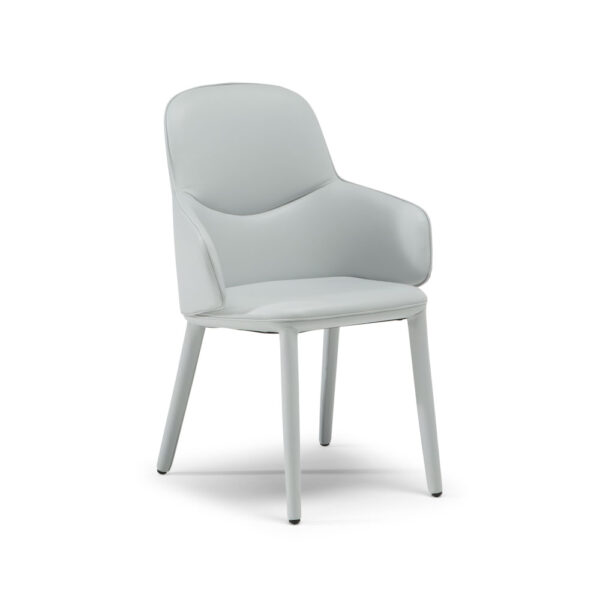 Natuzzi Italia Edgar-käsinojatuoli