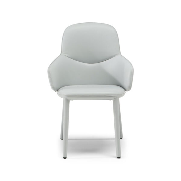 Natuzzi Italia Edgar-käsinojatuoli