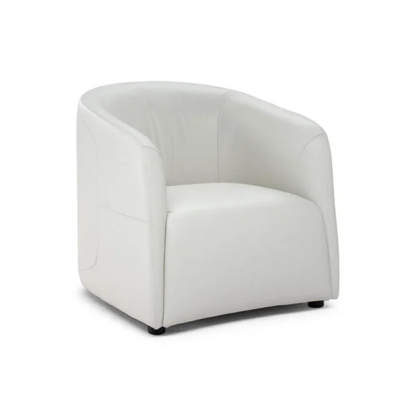 Natuzzi Italia Logos-nojatuoi