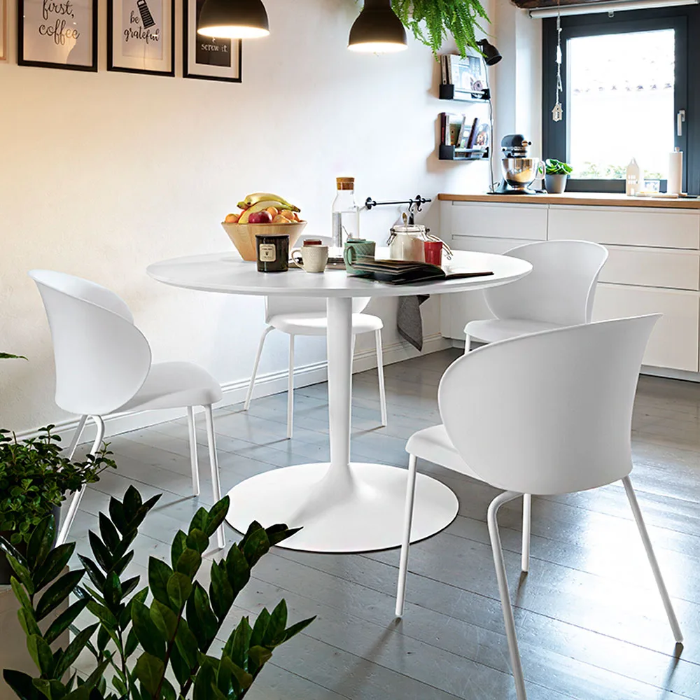 Connubia Tuka-käsinojatuoli